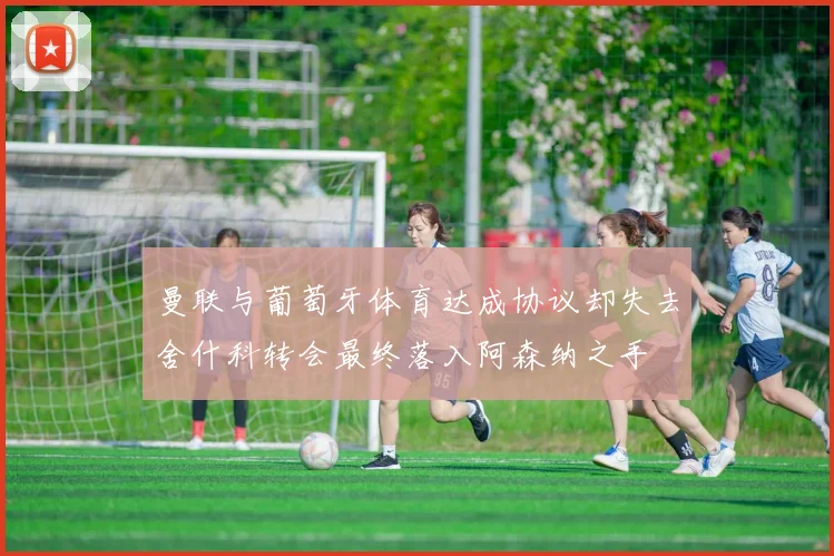 曼联与葡萄牙体育达成协议却失去舍什科转会最终落入阿森纳之手